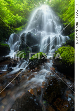 Wahkeena Falls, Oregon, USA Wahkeena Falls, Oregon, USA 35552105