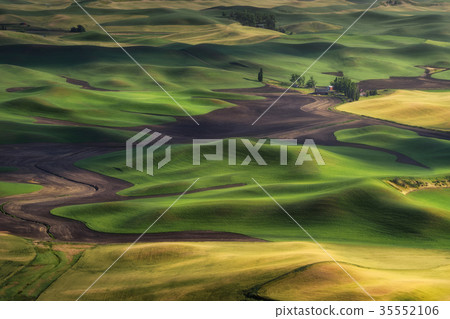 Barley and wheat field in Palouse, Washington Barley and wheat field in Palouse, Washington 35552106