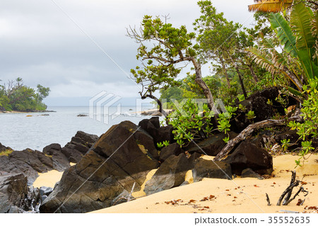 Masoala National Park landscape, Madagascar 35552635