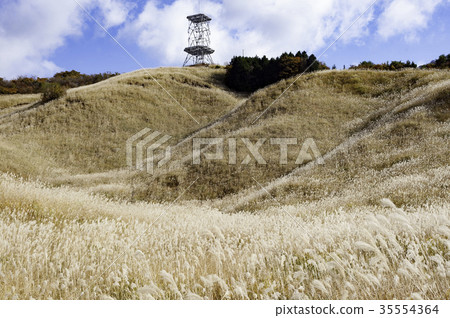 Atagoyama promenade 35554364