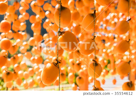 Hoshi persimmon orange persimmon blind 35554612