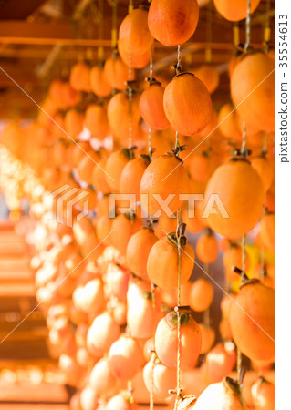 Hoshi persimmon orange persimmon blind Hoshi persimmon orange persimmon blind 35554613