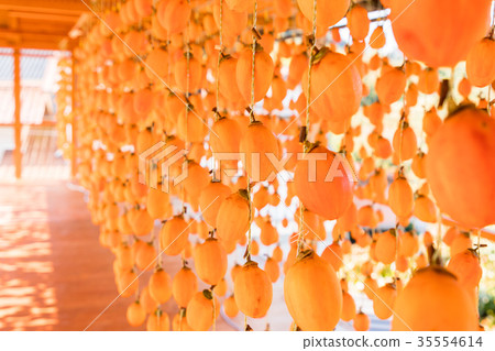 Hoshi persimmon orange persimmon blind Hoshi persimmon orange persimmon blind 35554614