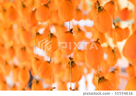Hoshi persimmon orange persimmon blind Hoshi persimmon orange persimmon blind 35554616