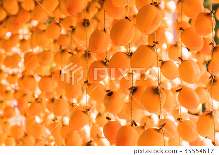 Hoshi persimmon orange persimmon blind 35554617