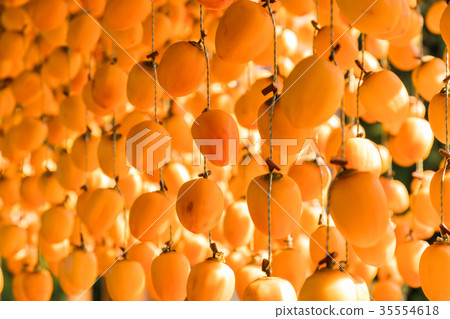 Hoshi persimmon orange persimmon blind 35554618