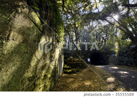 Autumn's Kannonzaki second battery ruins Autumn's Kannonzaki second battery ruins 35555589