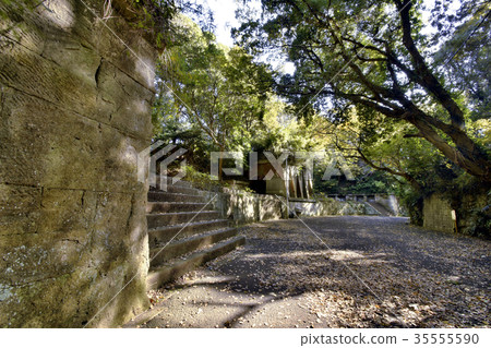 Kannonzaki first battery in autumn 35555590