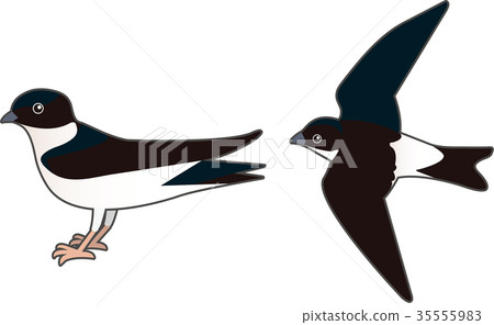 雄鹿甲蟲 35555983