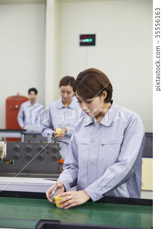 Factory, production line, worker 35556163