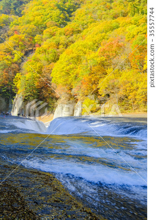 秋葉和秋葉瀑布(垂直) 秋葉和秋葉瀑布(垂直) 35557744