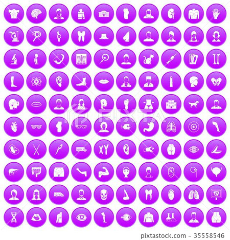100 organ icons set purple 100 organ icons set purple 35558546
