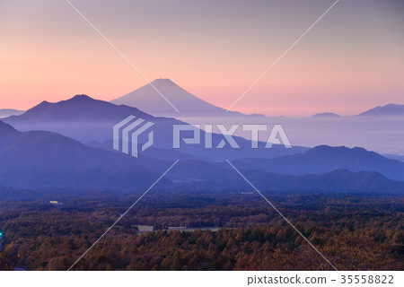 [Yamanashi Prefecture] Yatsugatake/Beautiful Forest/Mt. Fuji 35558822