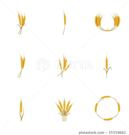 Types of wheat icons set, cartoon style 35559662