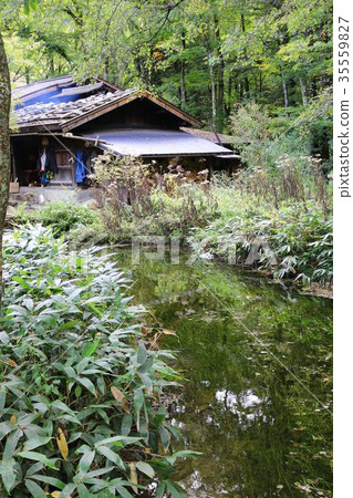 Landscape of a beautiful pond in Kamikochi 35559827