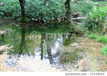 Landscape of a beautiful pond in Kamikochi 35559829