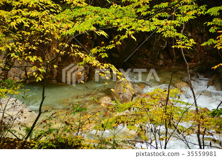 Naka-Bosokawa Flow Naka-Bosokawa Flow 35559981