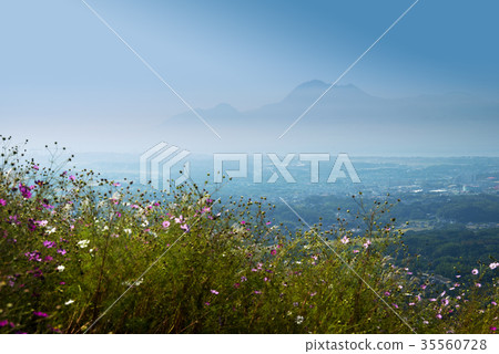 Unzen from Miikeyama Unzen from Miikeyama 35560728