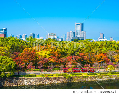 秋天大阪城堡公園和公路列車 秋天大阪城堡公園和公路列車 35560831
