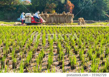 Fall of Inagi and Sato Fall of Inagi and Sato 35562720