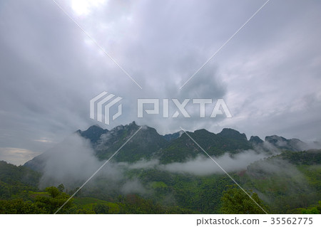 Doi Luang Mountain in Chiang Dao Doi Luang Mountain in Chiang Dao 35562775