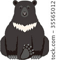 亞洲黑熊 35565012