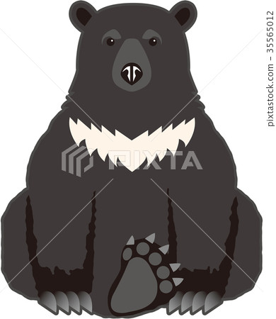 亞洲黑熊 35565012
