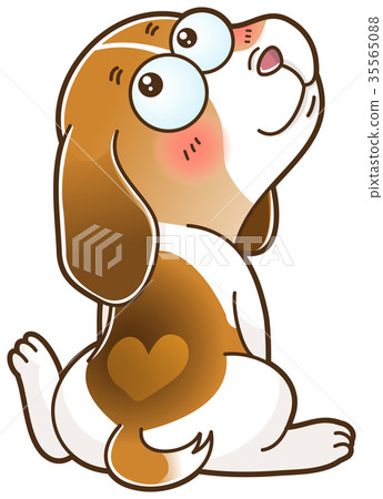 Imui dream Imui dream 35565088