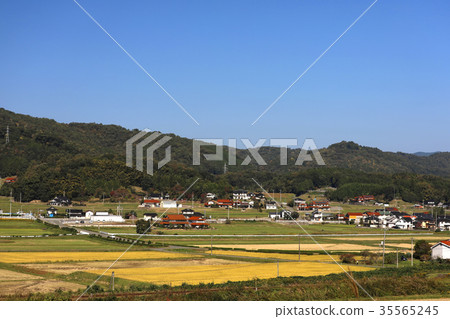 廣島縣K原市秋季景觀 廣島縣K原市秋季景觀 35565245