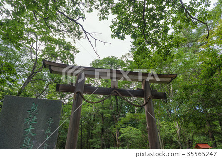 Togakushi Shrine Osha Shindo風景 Togakushi Shrine Osha Shindo風景 35565247