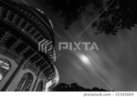 夜晚,月亮,蛾 夜晚,月亮,蛾 35565604
