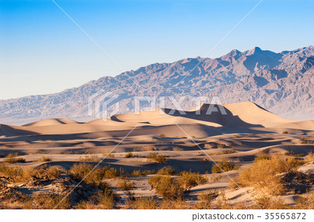 Mesquite Flat Sand dunes in Death Valley CA, USA. Mesquite Flat Sand dunes in Death Valley CA, USA. 35565872