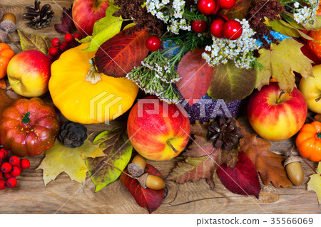 Thanksgiving background yellow squash, apple acorn Thanksgiving background yellow squash, apple acorn 35566069