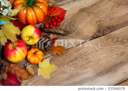 Pumpkins, apples, berries, pine cones, acorn leaf Pumpkins, apples, berries, pine cones, acorn leaf 35566070
