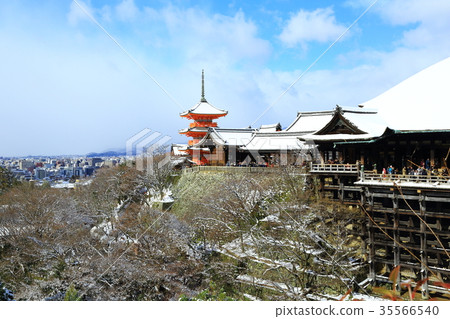 京都清水寺雪景 35566540