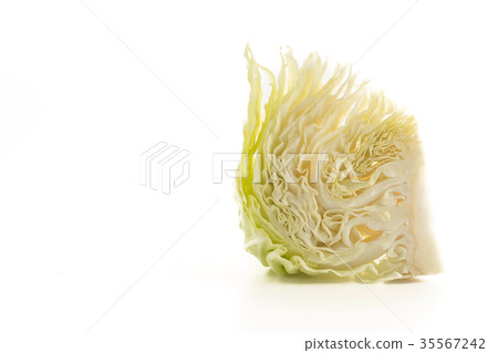 fresh cabbage fresh cabbage 35567242