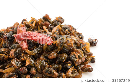 spicy and sweet razor clam 35567249