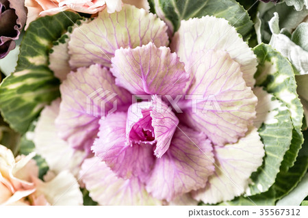 beautiful bouquet of mixed flowers into a vase on beautiful bouquet of mixed flowers into a vase on 35567312