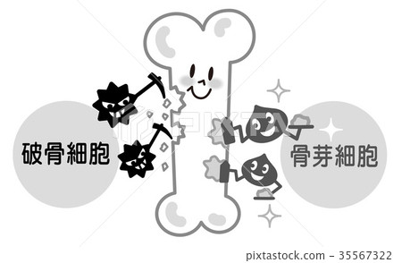 骨破骨細胞成骨細胞單色例證 骨破骨細胞成骨細胞單色例證 35567322