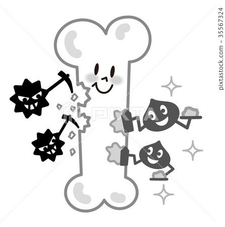 Bone osteoclast osteoblasts monochrome illustration 35567324