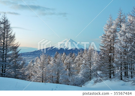 Mountains of Mt. Fuji in winter and scenery of ice Ice 35567484