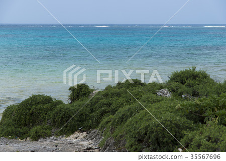 黑島的風景(沖繩縣竹富町) 黑島的風景(沖繩縣竹富町) 35567696