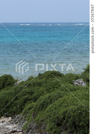 黑島的風景(沖繩縣竹富町) 黑島的風景(沖繩縣竹富町) 35567697