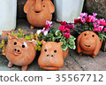 Garden cyclamen 35567712