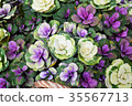 Leaf button 35567713