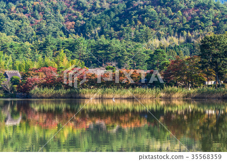 京都在秋天Hirosawa池塘 京都在秋天Hirosawa池塘 35568359