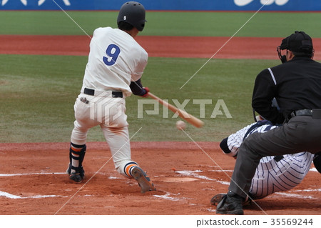 Nice batting Nice batting 35569244