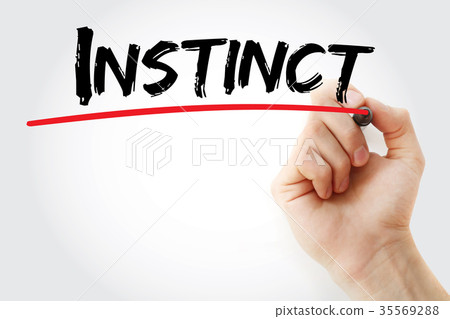 Hand writing Instinct Hand writing Instinct 35569288