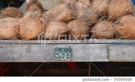 coconut 35569309