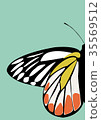 Butterfly Icon Vector 35569512